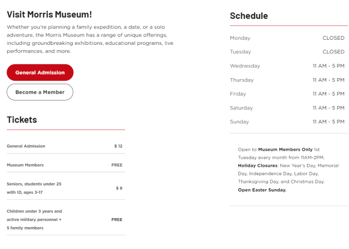 Museum Websites